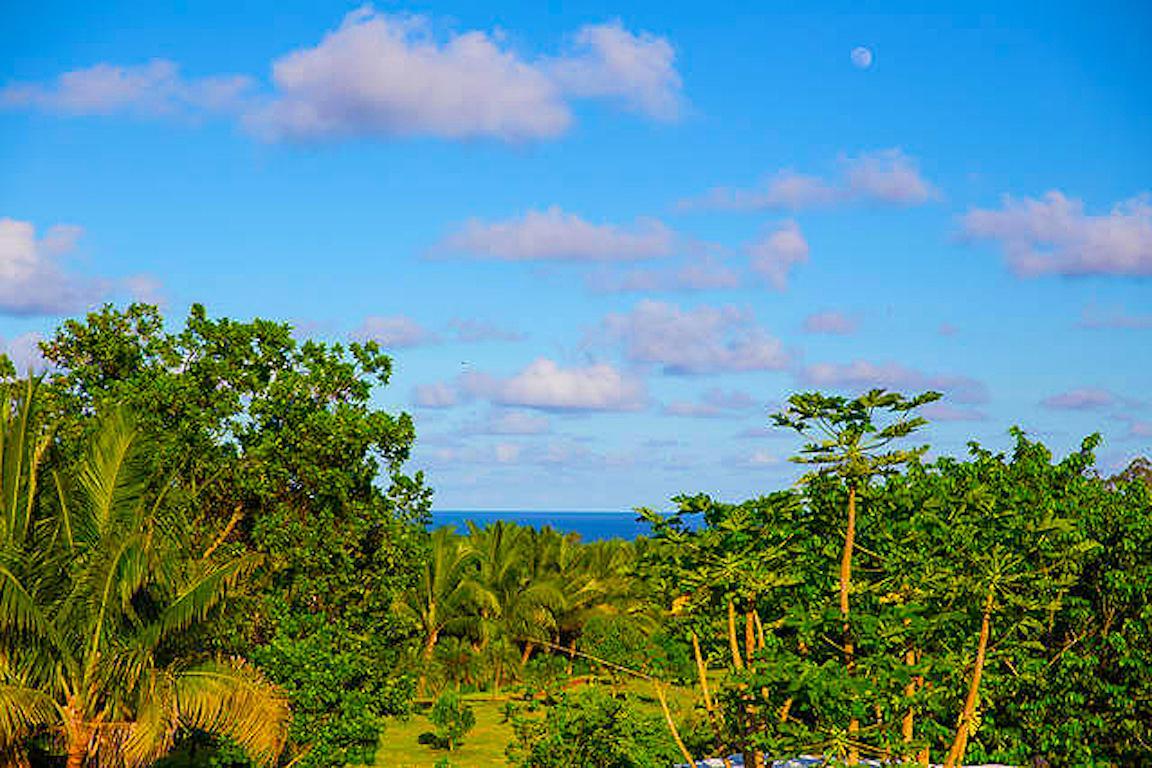 Kirpal Meditation And Ecological Center Hotel Pahoa Bagian luar foto