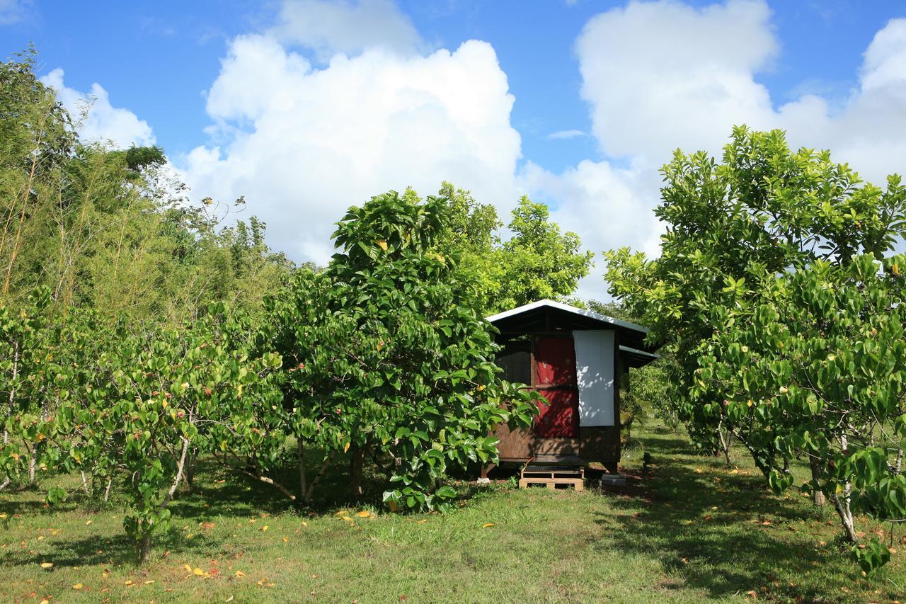 Kirpal Meditation And Ecological Center Hotel Pahoa Bagian luar foto