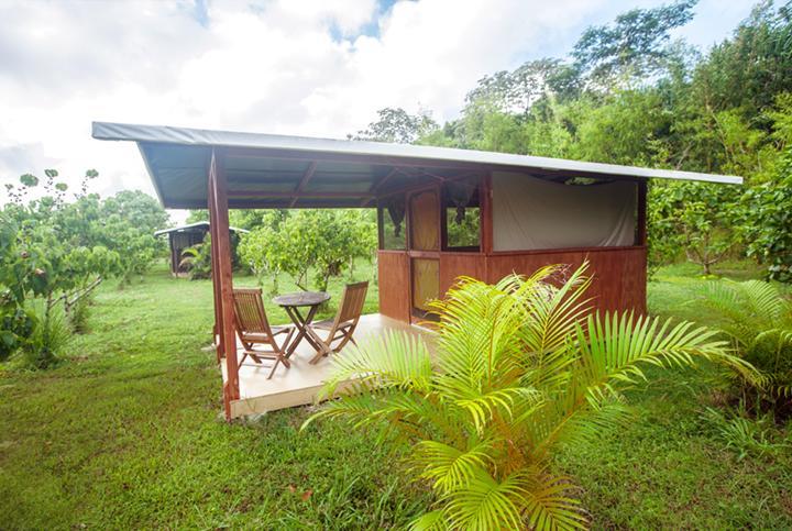 Kirpal Meditation And Ecological Center Hotel Pahoa Bagian luar foto