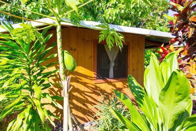 Kirpal Meditation And Ecological Center Hotel Pahoa Bagian luar foto