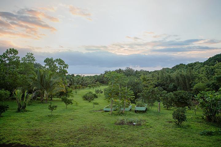 Kirpal Meditation And Ecological Center Pahoa Bagian luar foto