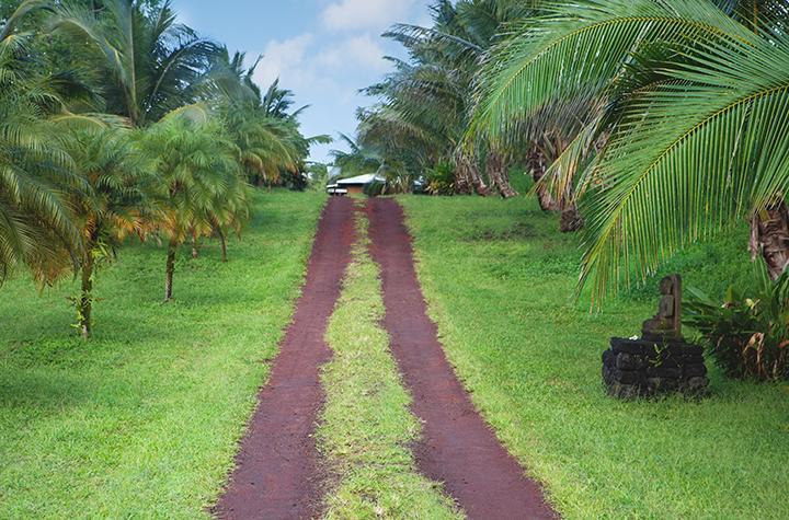 Kirpal Meditation And Ecological Center Hotel Pahoa Bagian luar foto