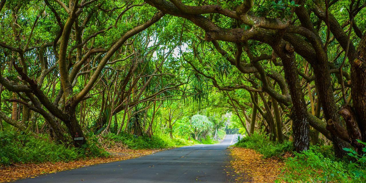 Kirpal Meditation And Ecological Center Hotel Pahoa Bagian luar foto