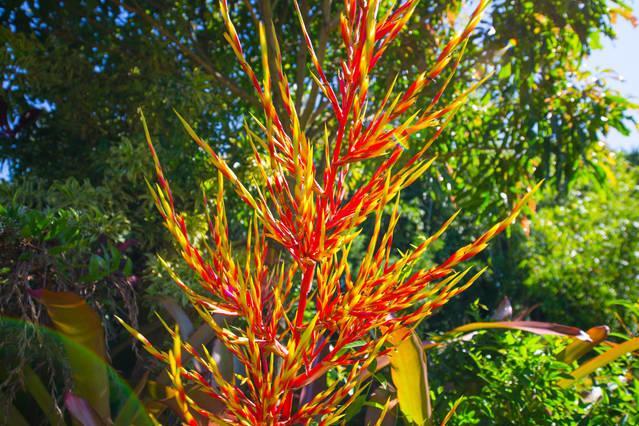 Kirpal Meditation And Ecological Center Hotel Pahoa Bagian luar foto