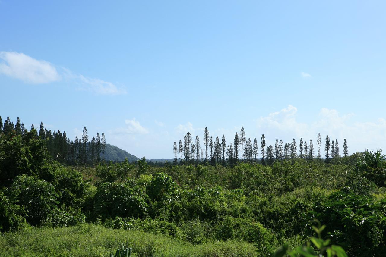 Kirpal Meditation And Ecological Center Hotel Pahoa Bagian luar foto