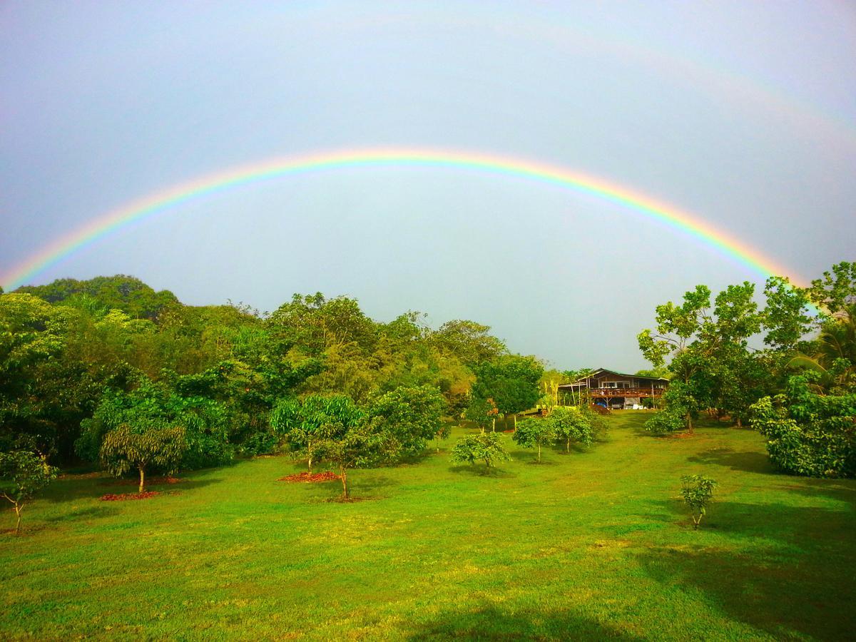 Kirpal Meditation And Ecological Center Hotel Pahoa Bagian luar foto