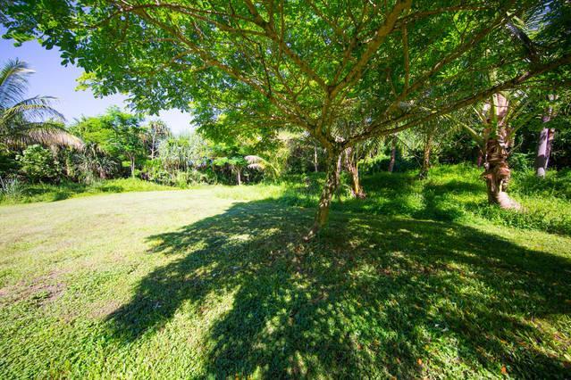 Kirpal Meditation And Ecological Center Pahoa Bagian luar foto