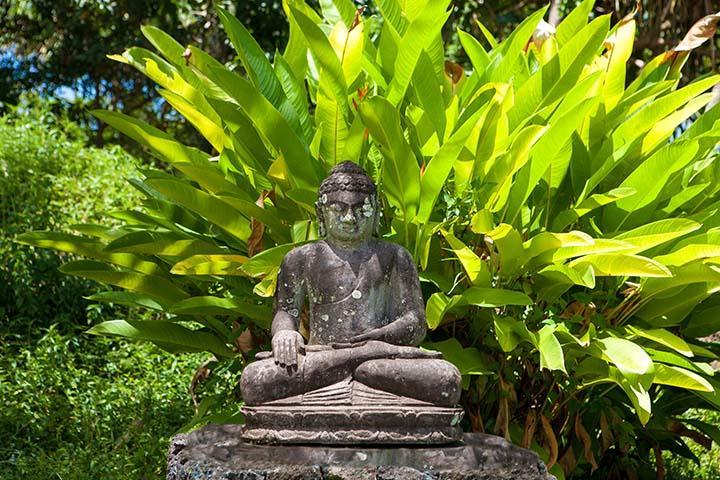 Kirpal Meditation And Ecological Center Pahoa Bagian luar foto