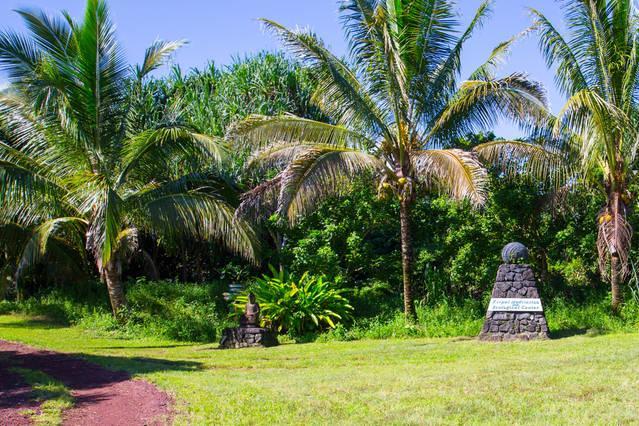 Kirpal Meditation And Ecological Center Pahoa Bagian luar foto